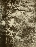 An illustration from Catalogue de luxe of the Department of Fine Arts, Panama-Pacific International Exposition (1915)
