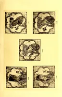An illustration from Catalogue des anciennes Faiences persanes, damas, rhodes et koubatcha : composant la collection T.B.Whitney (1910)
