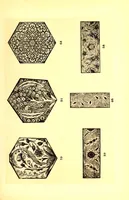 An illustration from Catalogue des anciennes Faiences persanes, damas, rhodes et koubatcha : composant la collection T.B.Whitney (1910)