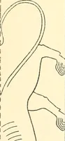 An illustration from Catalogue des monuments et inscriptions de l'Égypte antique / publié sous les auspices de S.A. Abbas II Helmi par la direction générale du Service des antiquités [de l'Égypte] ; par J. de Morgan, U. Bouriant, G. Legrain, G. Jéquier, A. Barsanti (1894)