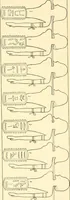An illustration from Catalogue des monuments et inscriptions de l'Égypte antique / publié sous les auspices de S.A. Abbas II Helmi par la direction générale du Service des antiquités [de l'Égypte] ; par J. de Morgan, U. Bouriant, G. Legrain, G. Jéquier, A. Barsanti (1894)
