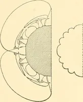 An illustration from Catalogue des monuments et inscriptions de l'Égypte antique / publié sous les auspices de S.A. Abbas II Helmi par la direction générale du Service des antiquités [de l'Égypte] ; par J. de Morgan, U. Bouriant, G. Legrain, G. Jéquier, A. Barsanti (1894)