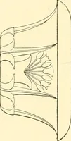 An illustration from Catalogue des monuments et inscriptions de l'Égypte antique / publié sous les auspices de S.A. Abbas II Helmi par la direction générale du Service des antiquités [de l'Égypte] ; par J. de Morgan, U. Bouriant, G. Legrain, G. Jéquier, A. Barsanti (1894)