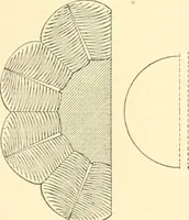 An illustration from Catalogue des monuments et inscriptions de l'Égypte antique / publié sous les auspices de S.A. Abbas II Helmi par la direction générale du Service des antiquités [de l'Égypte] ; par J. de Morgan, U. Bouriant, G. Legrain, G. Jéquier, A. Barsanti (1894)