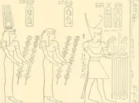 Picture 480 of 543 from Catalogue des monuments et inscriptions de l'Égypte antique / publié sous les auspices de S.A. Abbas II Helmi par la direction générale du Service des antiquités [de l'Égypte] ; par J. de Morgan, U. Bouriant, G. Legrain, G. Jéquier, A. Barsanti (1894), leaf 356