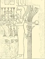 Picture 23 of 543 from Catalogue des monuments et inscriptions de l'Égypte antique / publié sous les auspices de S.A. Abbas II Helmi par la direction générale du Service des antiquités [de l'Égypte] ; par J. de Morgan, U. Bouriant, G. Legrain, G. Jéquier, A. Barsanti (1894), leaf 36