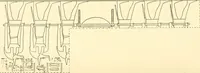 An illustration from Catalogue des monuments et inscriptions de l'Égypte antique / publié sous les auspices de S.A. Abbas II Helmi par la direction générale du Service des antiquités [de l'Égypte] ; par J. de Morgan, U. Bouriant, G. Legrain, G. Jéquier, A. Barsanti (1894)