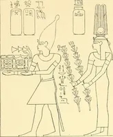 Picture 8 of 210 from Catalogue des monuments et inscriptions de l'Égypte antique / publié sous les auspices de S.A. Abbas II Helmi par la direction générale du Service des antiquités [de l'Égypte] ; par J. de Morgan, U. Bouriant, G. Legrain, G. Jéquier, A. Barsanti (1894), leaf 13