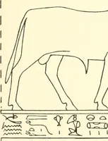 Picture 16 of 210 from Catalogue des monuments et inscriptions de l'Égypte antique / publié sous les auspices de S.A. Abbas II Helmi par la direction générale du Service des antiquités [de l'Égypte] ; par J. de Morgan, U. Bouriant, G. Legrain, G. Jéquier, A. Barsanti (1894), leaf 22
