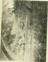 An illustration from Catalogue des tableaux modernes ... sculptures ... tableaux anciens ... tapis-series ... de Ferrare (Italie) 16e siècle ... provenant de la collection de feu Madame A.C... d'A... dont la vente aux enchères ... 14 mai 1920 (1920)