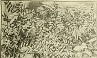 An illustration from Catalogue des tableaux modernes ... sculptures ... tableaux anciens ... tapis-series ... de Ferrare (Italie) 16e siècle ... provenant de la collection de feu Madame A.C... d'A... dont la vente aux enchères ... 14 mai 1920 (1920)