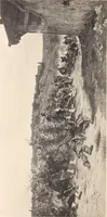 An illustration from Catalogue des tableaux anciens et modernes : par Juan de Arellano, Goya, Van Goyen ... : dessins anciens et aquarelles modernes ... : le tout dépendant de l'imporante collection de M. D.-- de G.-- (1896)