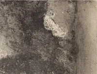An illustration from Catalogue des tableaux anciens et modernes : par Juan de Arellano, Goya, Van Goyen ... : dessins anciens et aquarelles modernes ... : le tout dépendant de l'imporante collection de M. D.-- de G.-- (1896)