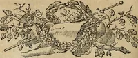 An illustration from Catalogue des tableaux de la Galerie impériale et royale de Vienne (1784)