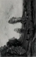 An illustration from Catalogue de tableaux modernes de premier ordre, pastels, aquarelles, dessins : œuvres importantes de: Besnard, Bonvin, Carriere, Cazin, Corot, Daubigny, Daumier, Degas, Diaz, Forain, Harpignies, Lebourg, Meissonier, Millet, Monet, Puvis de Chavannes, Théodore Rousseau, Renoir, Sisley, etc.; sculptures par Barye, Carriés, Dalou, Gémito, Rodin (1897)