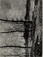 An illustration from Catalogue de tableaux modernes de premier ordre, pastels, aquarelles, dessins : œuvres importantes de: Besnard, Bonvin, Carriere, Cazin, Corot, Daubigny, Daumier, Degas, Diaz, Forain, Harpignies, Lebourg, Meissonier, Millet, Monet, Puvis de Chavannes, Théodore Rousseau, Renoir, Sisley, etc.; sculptures par Barye, Carriés, Dalou, Gémito, Rodin (1897)