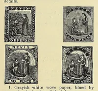 An illustration from A catalogue for advanced collectors of postage stamps, stamped envelopes and wrappers; (1890)
