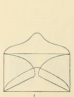 An illustration from A catalogue for advanced collectors of postage stamps, stamped envelopes and wrappers; (1890)