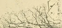 An illustration from Catalogue illustré des ouvrages de peinture, sculpture et gravure (1890)