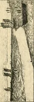 An illustration from Catalogue illustré des ouvrages de peinture, sculpture et gravure (1890)