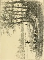 An illustration from Catalogue illustré des ouvrages de peinture, sculpture et gravure (1890)