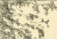 An illustration from Catalogue illustré des ouvrages de peinture, sculpture et gravure (1890)