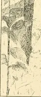 An illustration from Catalogue illustré des ouvrages de peinture, sculpture et gravure (1890)