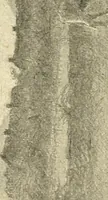 An illustration from Catalogue illustré des ouvrages de peinture, sculpture et gravure (1890)