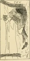 An illustration from Catalogue illustré des ouvrages de peinture, sculpture et gravure (1890)