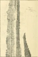 An illustration from Catalogue illustré des ouvrages de peinture, sculpture et gravure (1890)