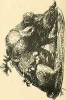 An illustration from Catalogue illustré des ouvrages de peinture, sculpture et gravure (1890)