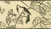 An illustration from Catalogue illustré des ouvrages de peinture, sculpture et gravure (1890)