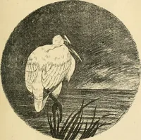 An illustration from Catalogue illustré des ouvrages de peinture, sculpture et gravure (1890)