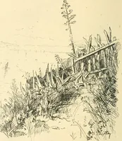 An illustration from Catalogue illustré des ouvrages de peinture, sculpture et gravure (1890)