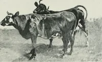 An illustration from Catalogue illustré de l'Exposition internationale de Bruxelles. Beaux-arts (1897)