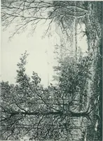 An illustration from Catalogue illustré de l'Exposition internationale de Bruxelles. Beaux-arts (1897)