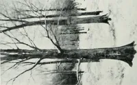 An illustration from Catalogue illustré de l'Exposition internationale de Bruxelles. Beaux-arts (1897)