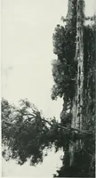 An illustration from Catalogue illustré de l'Exposition internationale de Bruxelles. Beaux-arts (1897)