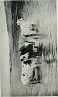 An illustration from Catalogue illustré de l'Exposition internationale de Bruxelles. Beaux-arts (1897)