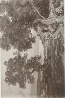 An illustration from Catalogue illustré de l'Exposition internationale de Bruxelles. Beaux-arts (1897)