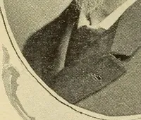 An illustration from Catalogue (illustrated) Fine arts department (1897)