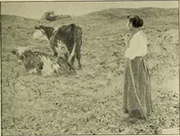 An illustration from Catalogue (illustrated) Fine arts department (1897)
