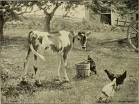 An illustration from Catalogue (illustrated) Fine arts department (1897)
