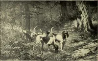 An illustration from Catalogue (illustrated) Fine arts department (1897)