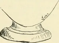 An illustration from Catalogue illustré de l'exposition des arts incohérents (1884)