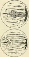 An illustration from Catalogue illustré de l'exposition des arts incohérents (1884)