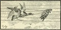 An illustration from Catalogue illustré de l'exposition des arts incohérents (1884)