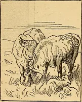 An illustration from Catalogue illustré de la section des beaux-arts : école anglaise ; avec notes (1878)