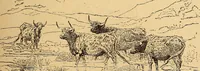 An illustration from Catalogue illustré de la section des beaux-arts : école anglaise ; avec notes (1878)