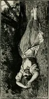 An illustration from Catalogue illustré (1879)